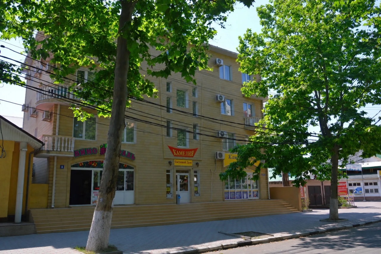  Гостиница "Камелия"